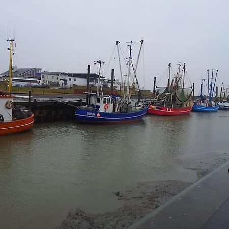 Nordsee Und Natur. Gemuetliche Fewo Mit Deichblick Dorum-Neufeld Exterior photo