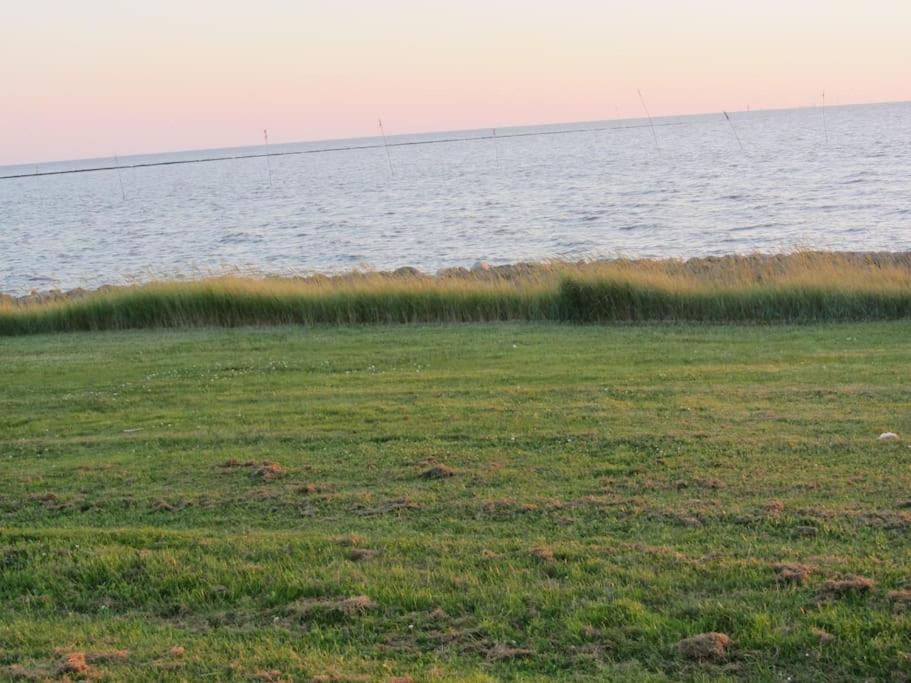 Nordsee Und Natur. Gemuetliche Fewo Mit Deichblick Dorum-Neufeld Exterior photo