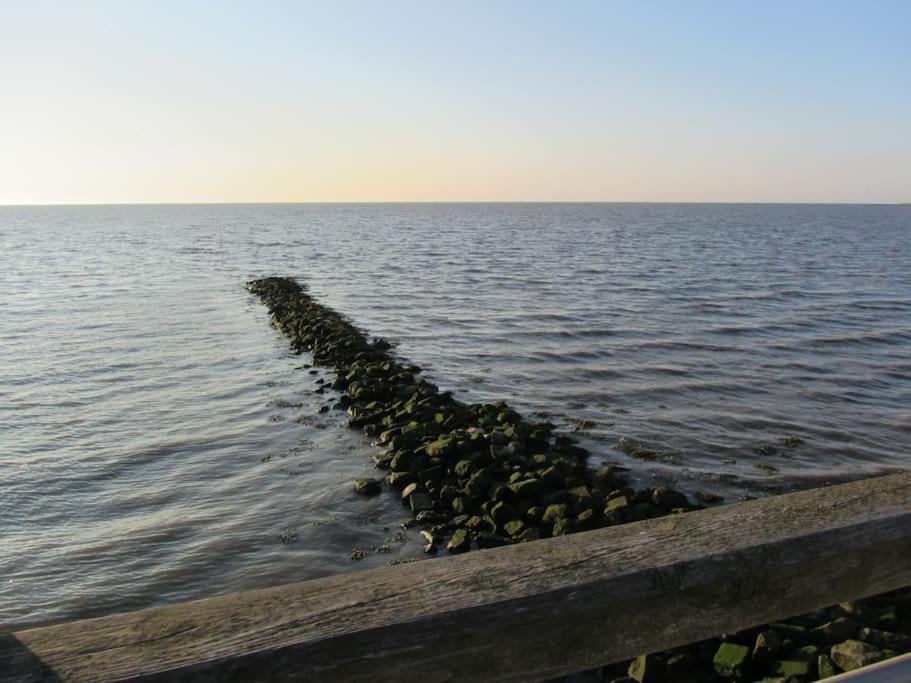 Nordsee Und Natur. Gemuetliche Fewo Mit Deichblick Dorum-Neufeld Exterior photo